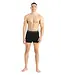 Icebreaker Men's Merino 150 Anatomica Boxers wFly