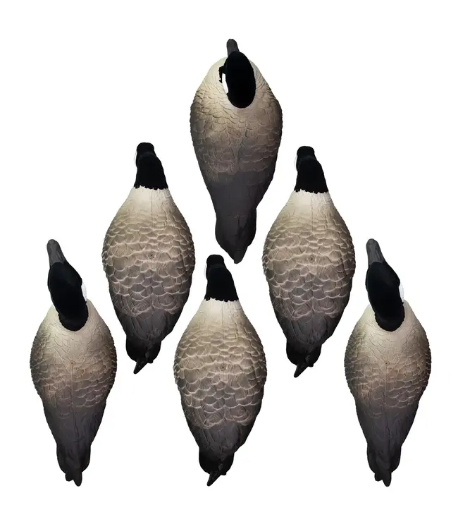 Higdon APEX Full-Size Full-Body-Canada Decoy - 6 pk