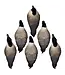 Higdon APEX Full-Size Full-Body-Canada Decoy - 6 pk