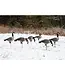 Higdon APEX Full-Size Full-Body-Canada Decoy - 6 pk