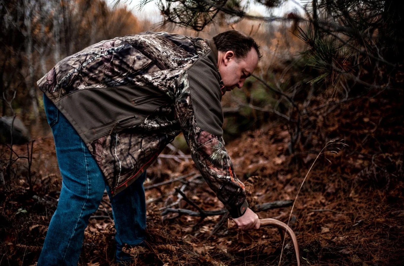Tips for Whitetail Deer Hunting: Scent, Feed, and Sound Strategies That Work