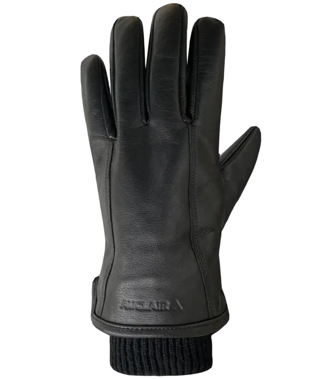 Auclair Men's Aiden Gloves