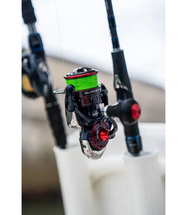 Daiwa 2025 Ballistic MA LT Reels