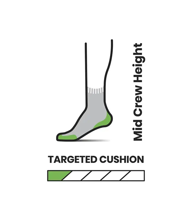 Smartwool Hike Targeted Cushion Bear Stripe Mid Crew Socks
