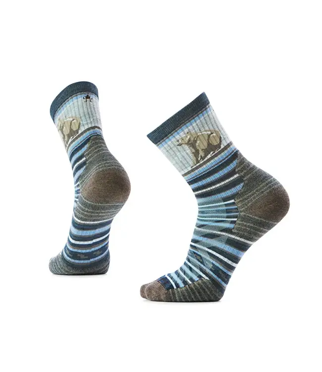 Smartwool Hike Targeted Cushion Bear Stripe Mid Crew Socks