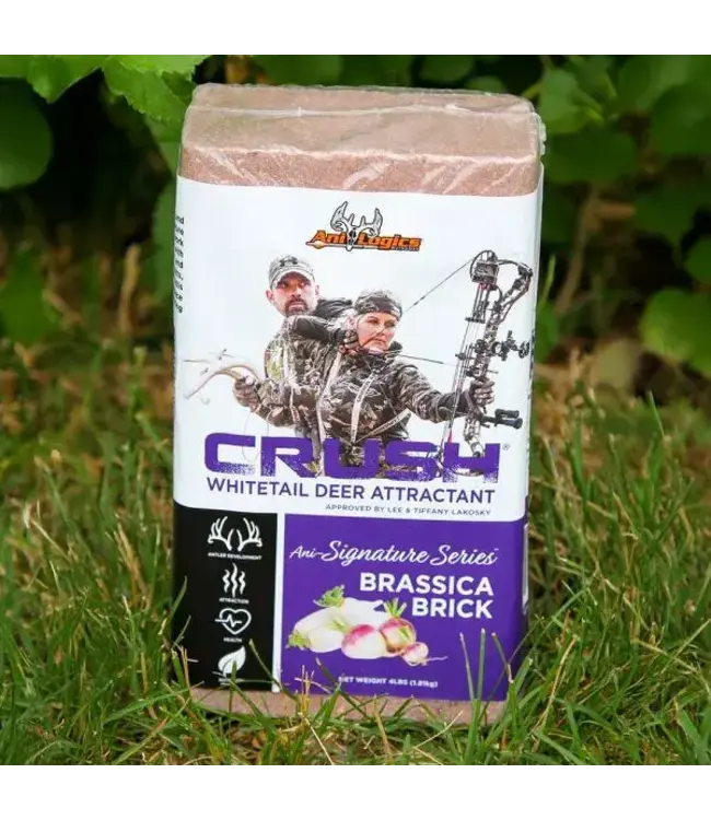 Ani-Logics CRUSH Block Attractant - Brassica