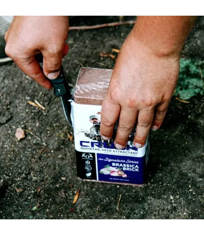 Ani-Logics CRUSH Block Attractant - Brassica