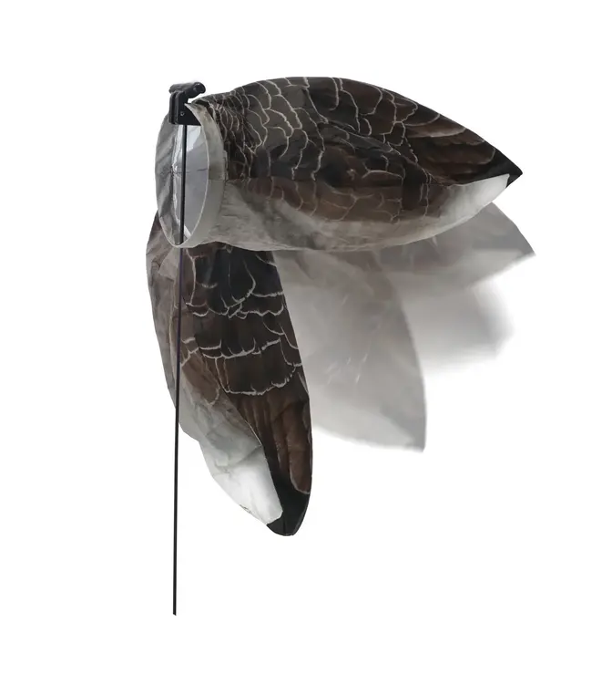 Higdon Canada Shock Socks