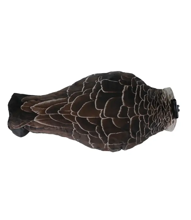 Higdon Canada Shock Socks