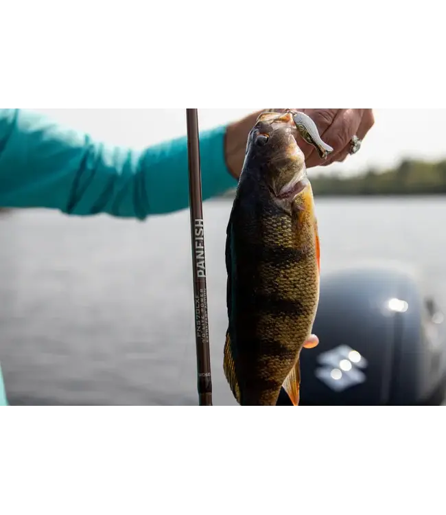 St. Croix Panfish Series Spinning Rods
