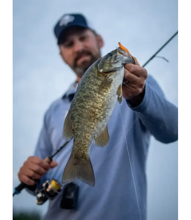 St. Croix Avid Series Casting Rods