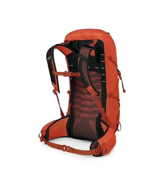 Osprey Talon Pro 30 Backpack