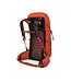 Osprey Talon Pro 30 Backpack