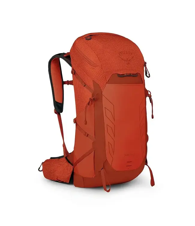 Osprey Talon Pro 30 Backpack