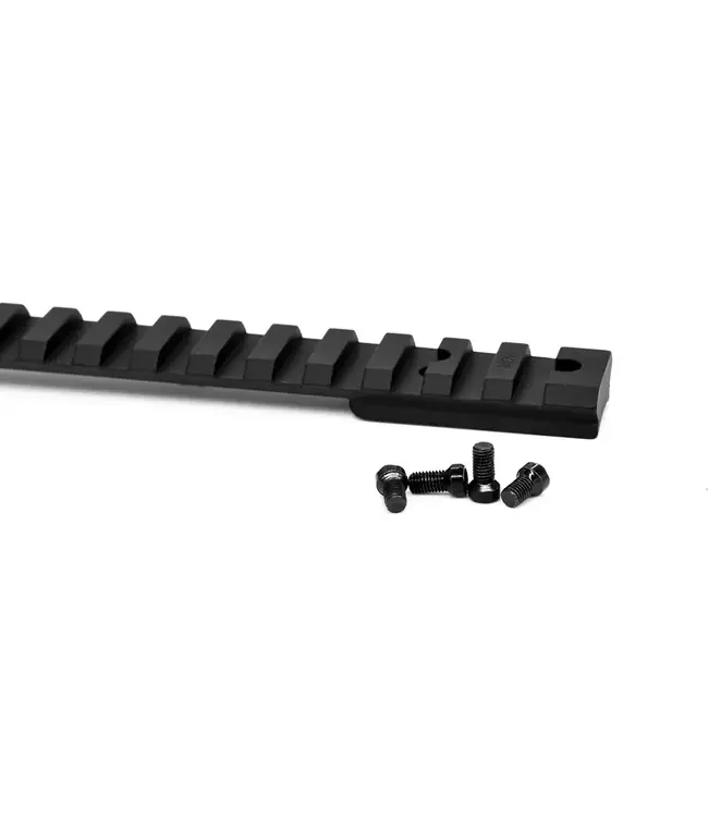 Warne Vapor Picatinny Rail for Ruger 10/22