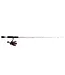 Ugly Stick Carbon Ice Spinning Combo