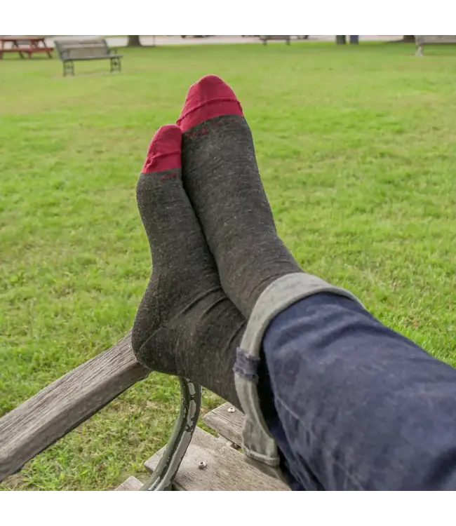 Darn Tough Men's Solid Crew Lightweight Lifestyle Socks