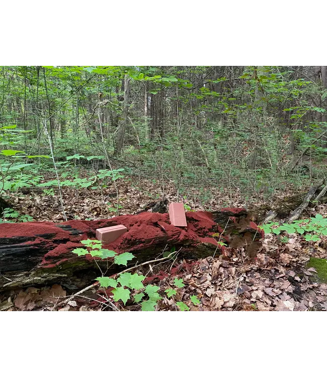 Rack Stacker Fury Bricks