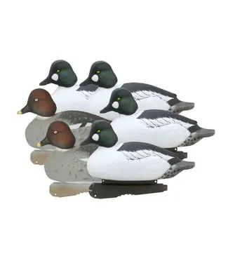 GHG Over Size GoldenEyes Foam Filled Decoys - 6 Pack