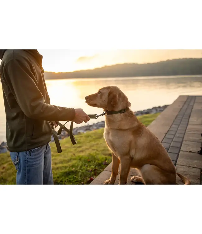 MOmarsh Adjustable Dog Leash