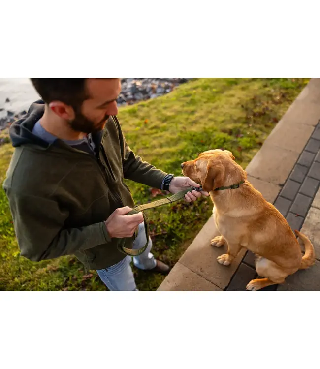 MOmarsh Adjustable Dog Leash