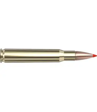 HORNADY Hornady Superformance 30‑06 Springfield 165 gr SST Ammunition