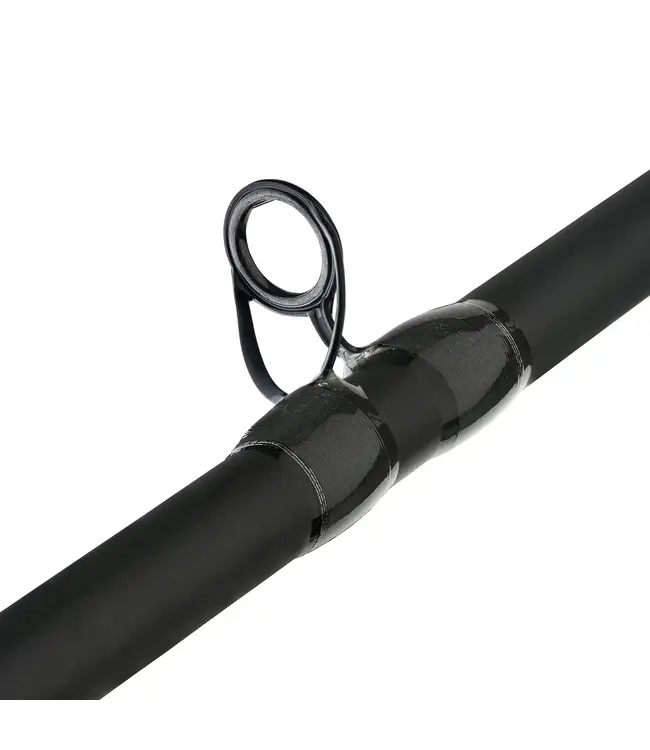 Fenwick Eagle Bass 2-Piece Casting Rod