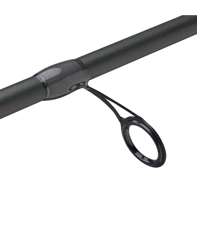 Fenwick Eagle Bass 2-Piece Spinning Rod