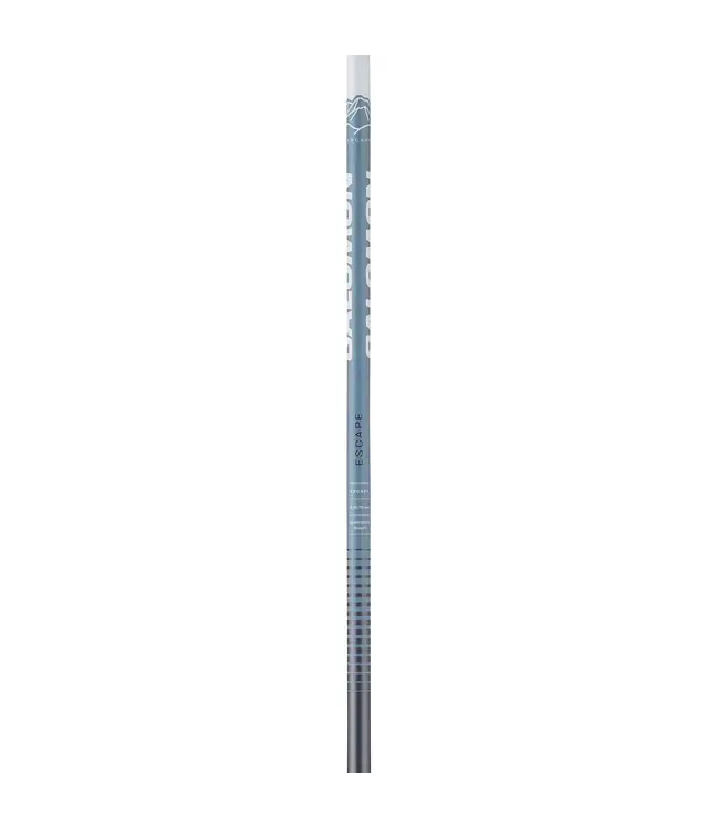 Salomon Escape Ski Poles
