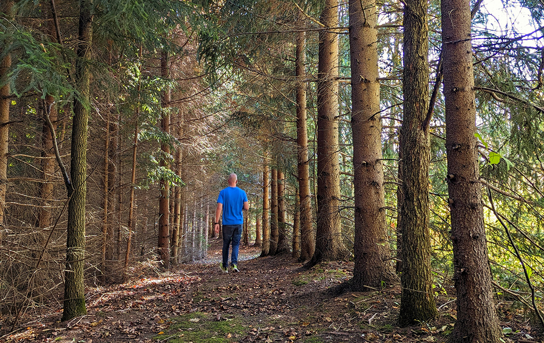 Getting Outside for Your Mental Health