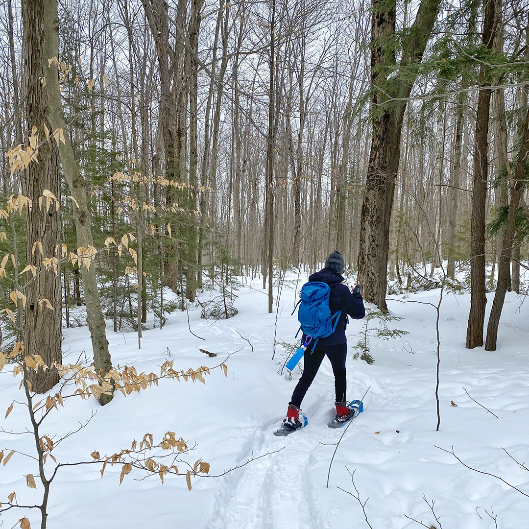 Snowshoeing in woods