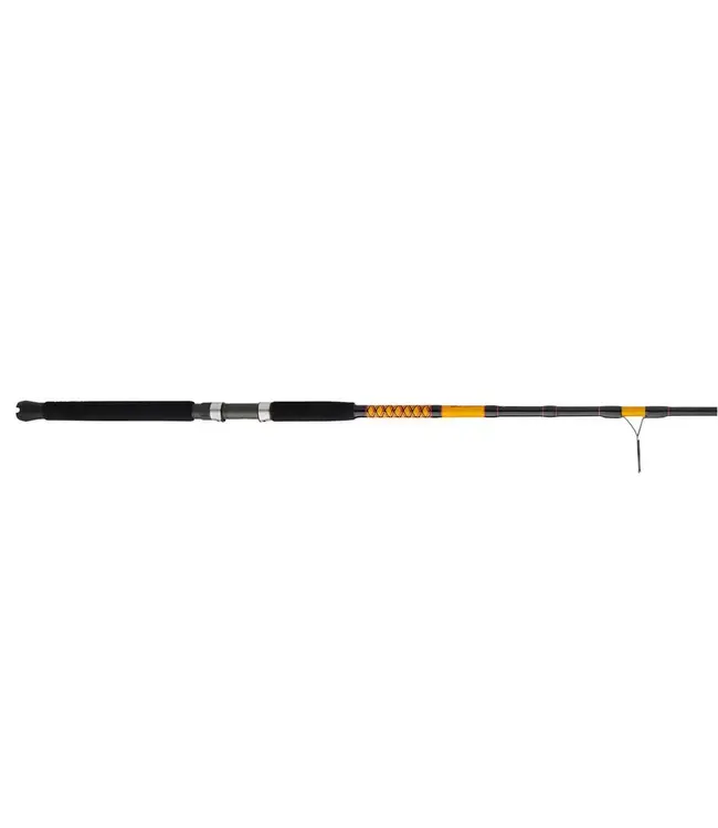 Ugly Stik Bigwater 2-Piece Spinning Rod