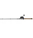 Pflueger President Spincast Combo [PRESSC-661M2]