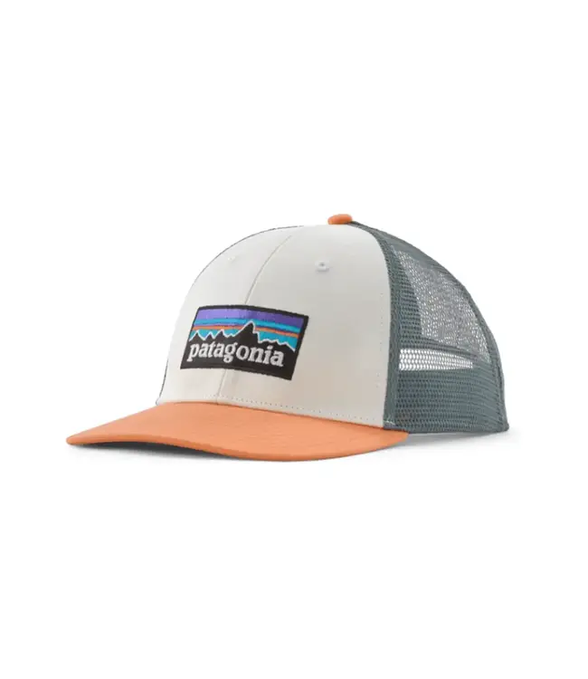Patagonia P-6 Logo LoPro Trucker Hat