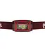 Petzl  Actik Core Headlamp - 625 Lumens
