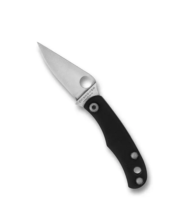 Spyderco Bug G-10 PlainEdge Knife
