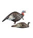 Higdon Jake and Jill Turkey Decoy Combo