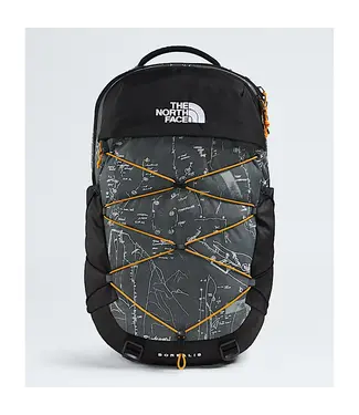 THE NORTH FACE The North Face Borealis Backpack