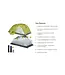 Nemo Dragonfly OSMO Ultralight Backpacking Tent - 2 Person