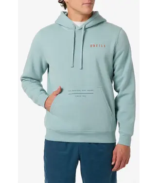 O'NEILL O'Neill Men's Surf Sesh Classic Hoodie