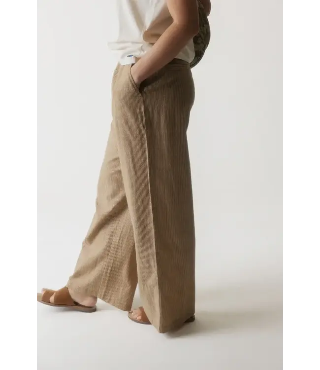 Kavu Women's Tamarindo Pants