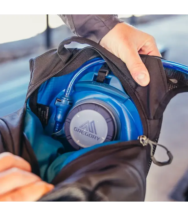 Gregory Nano 18 Backpack