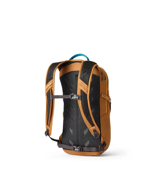 Gregory Nano 18 Backpack