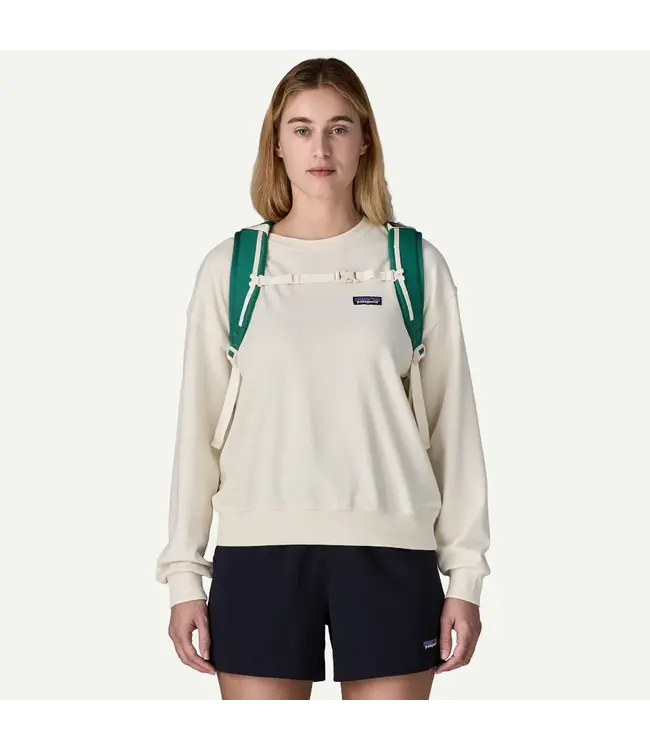 Patagonia Refugio Daypack 32L