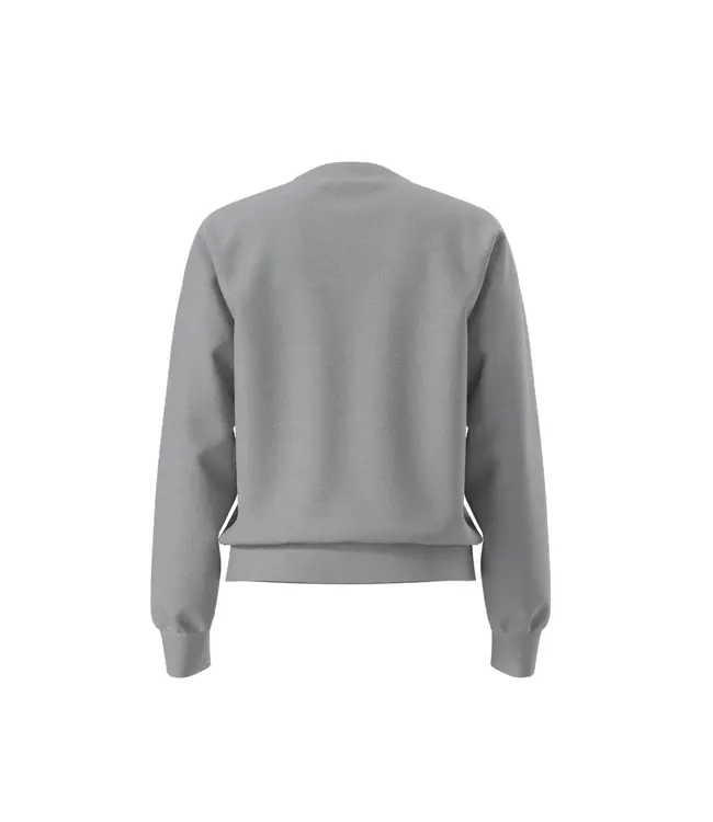 The North Face Women's Evolution Simple Dome Regular Crew Sweater