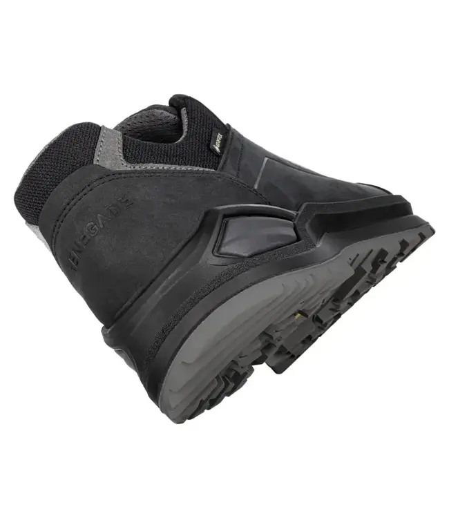 Lowa Men's Renegade EVO GTX LO Hiking Shoes