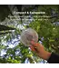 BioLite Luci Original Clear Solar Inflatable Lantern