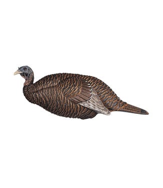 Flextone Thunder Chicken Breeder Hen Turkey Decoy