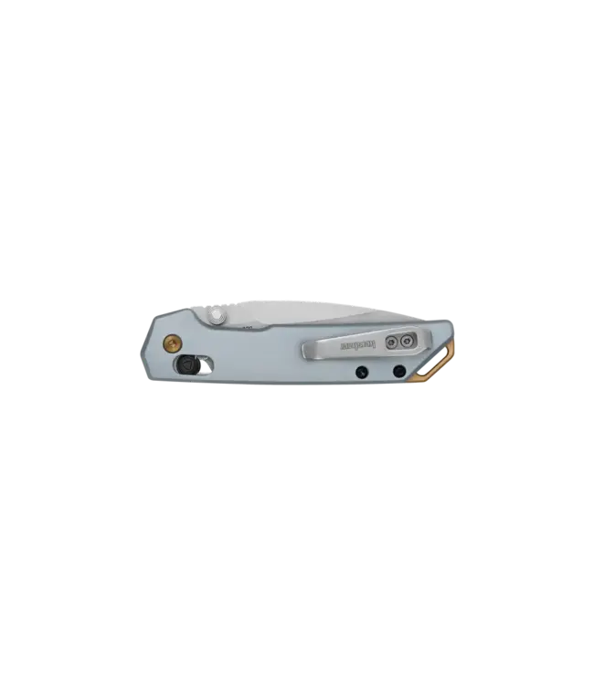 Kershaw Mini Iridium Knife