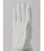 Hestra Rose Garden Gloves